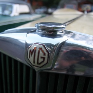 WG_MG Radiator